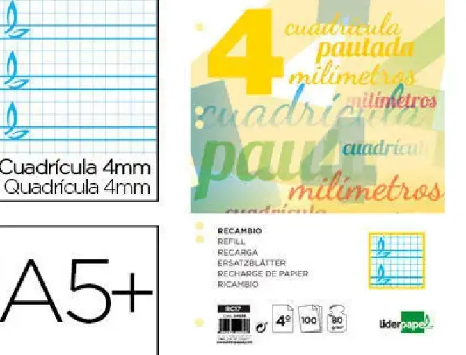 RECAMBIO LIDERPAPEL CUARTO PAUTAGUIA 100 HOJAS 75 G CUADRICULADO PAUTADO 4 MM CON MARGEN 6 TALADROS