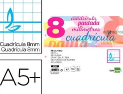 RECAMBIO LIDERPAPEL CUARTO PAUTAGUIA 100 HOJAS 70 G CUADRICULADO PAUTADO 8 MM CON MARGEN 2 TALADROS APAISADO