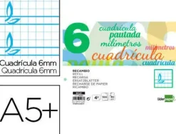RECAMBIO LIDERPAPEL CUARTO PAUTAGUIA 100 HOJAS 70 G CUADRICULADO PAUTADO 6 MM CON MARGEN 2 TALADROS APAISADO