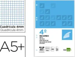 RECAMBIO LIDERPAPEL CUARTO 100 HOJAS 60G/M2 CUADRO 4MM CON MARGEN 6 TALADROS