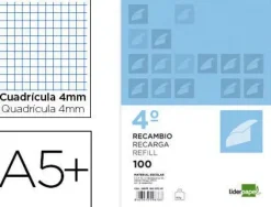 RECAMBIO LIDERPAPEL CUARTO APAISADO 100 H 2TCA-01 CUADRO 4 MM 2 TALADROS CON MARGEN