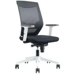 SILLA ROCADA RD908W NEGRO/NEGRO 260434