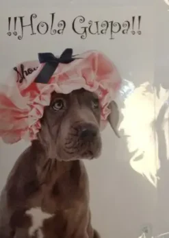 TARJETA FELICITACIÓN TAMAÑO A4 SURTIDA